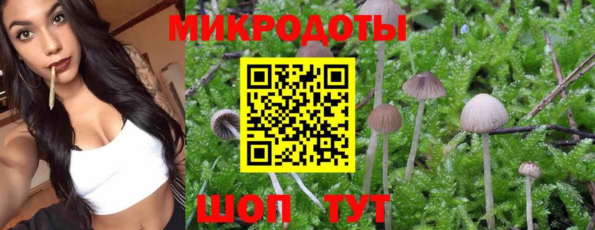 Галлюциногенные грибы GOLDEN TEACHER Великие Луки